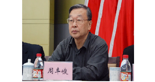 中国工程院院士 周丰峻